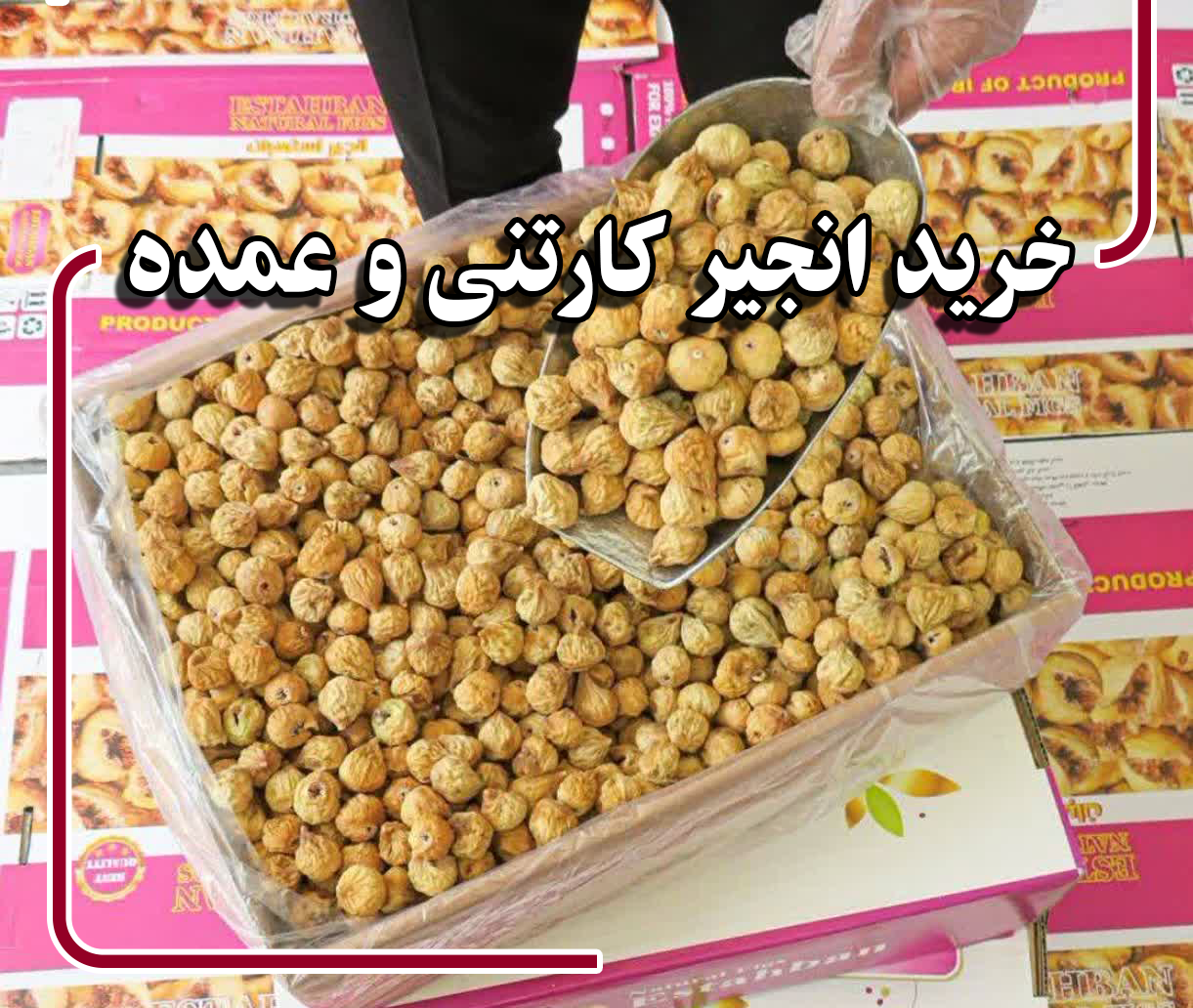 خرید عمده
