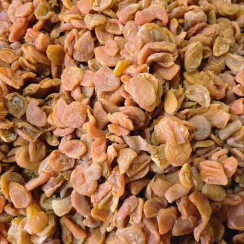 IMG_20251002_234605_036 برگه زردآلو