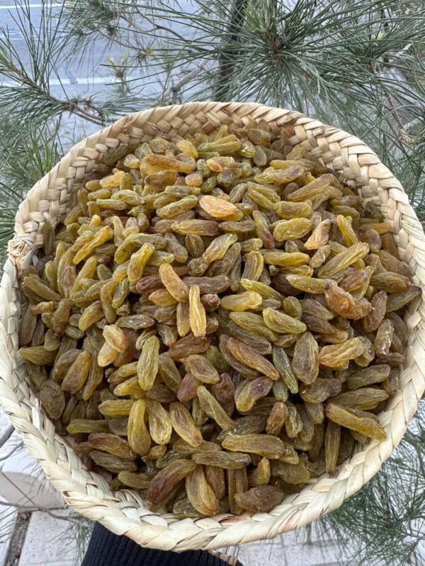 کشمش سبز قلمی