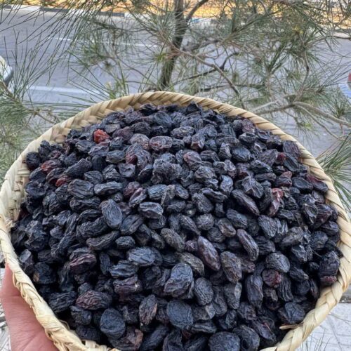 IMG_20251008_014549_771 مویز بیهسته ازبک