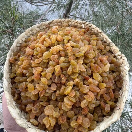 IMG_20251008_014554_089 کشمش پلو طلایی