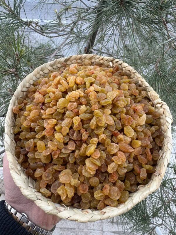 کشمش پلو طلایی