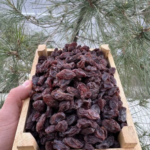 IMG_20251008_014601_024 مویز هستهدار رطبی