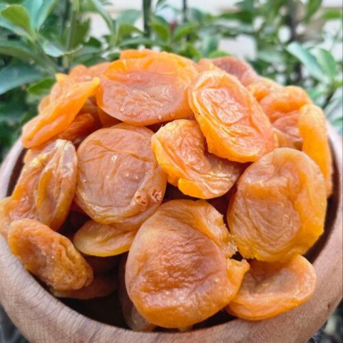 IMG_20251008_020351_141 قیصی زرد