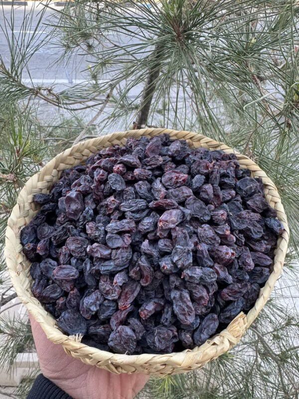 مویز هسته‌دار مشکی ایرانی