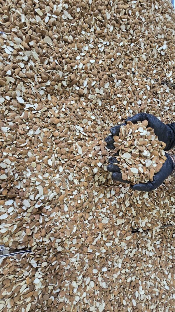 IMG_20251008_115053_073 مغز بادام درختی ایرانی لپه