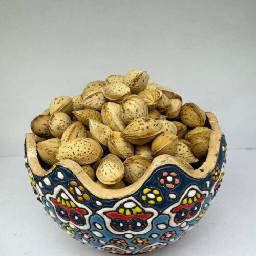 بادام کاغذی محب ایرانی