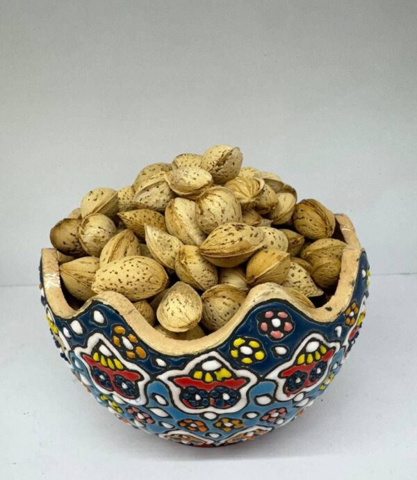 بادام کاغذی محب ایرانی