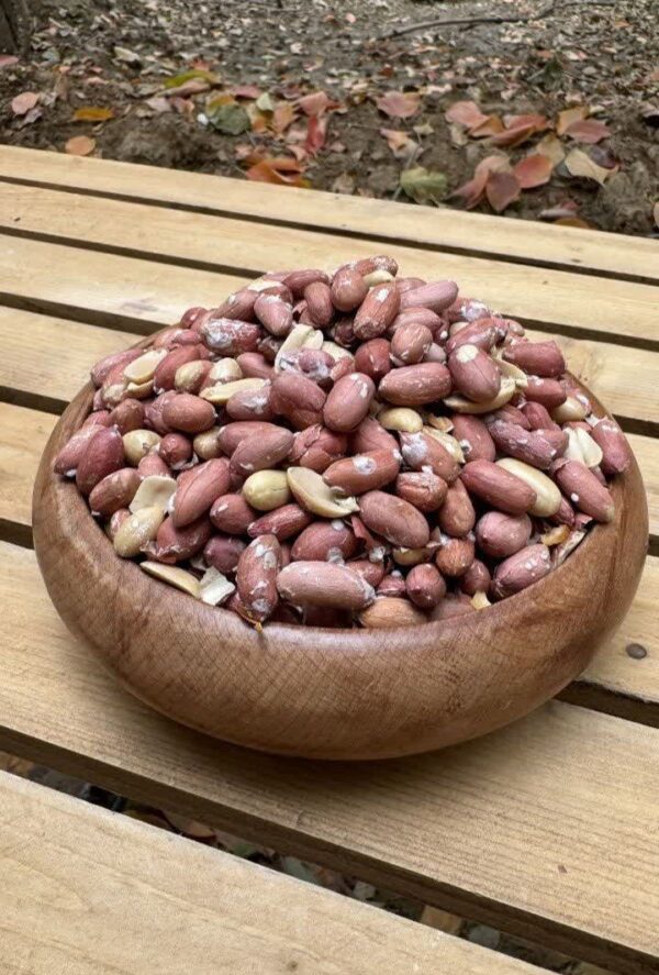 بادام زمینی آستانه اشرفیه