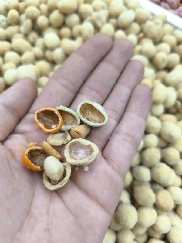 بادام زمینی روکش‌دار (طعم‌های مختلف)