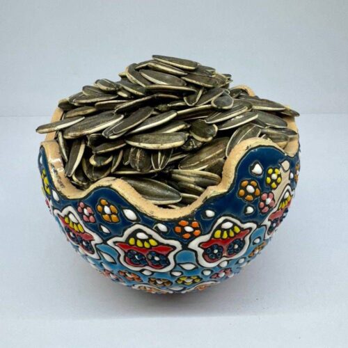 IMG_20251014_074207_564 تخمه آفتابگردان خام