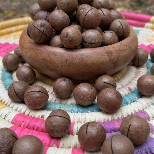 IMG_20251014_224850_413 ماکادمیا (فندق استرالیایی)