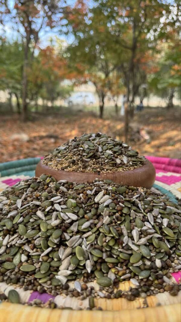 آجیل پنج مغز و دانه