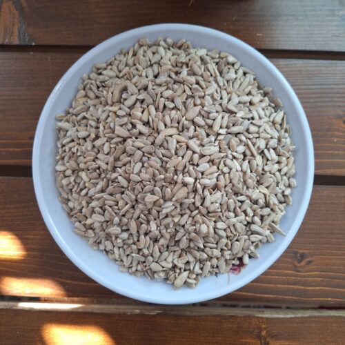 IMG_20251103_114755_824 مغز تخمه آفتابگردان خام