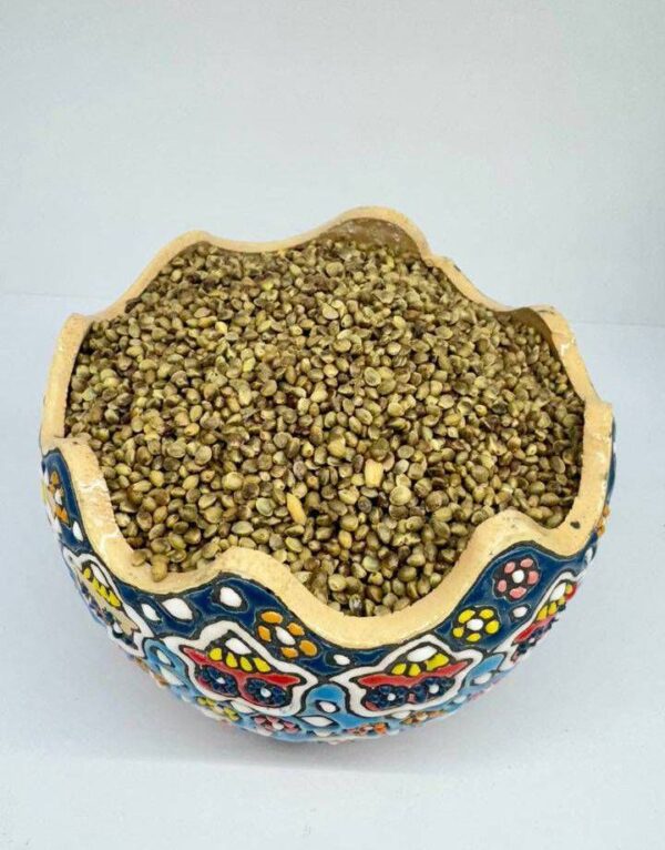 شاهدانه نمکی