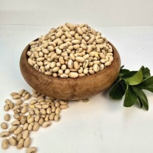 سویا آجیلی