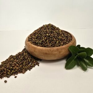 مغز پسته کوهی (بَنه) خام