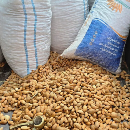 بادام درختی باپوست