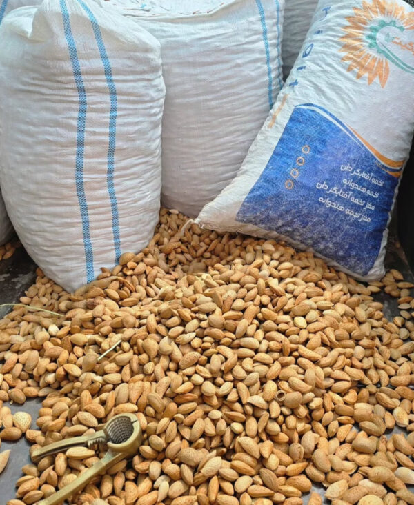 بادام درختی باپوست