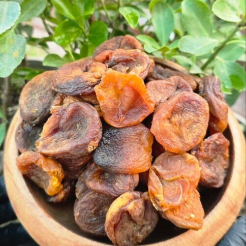 IMG_20251008_020713_278 قیصی آفتابی