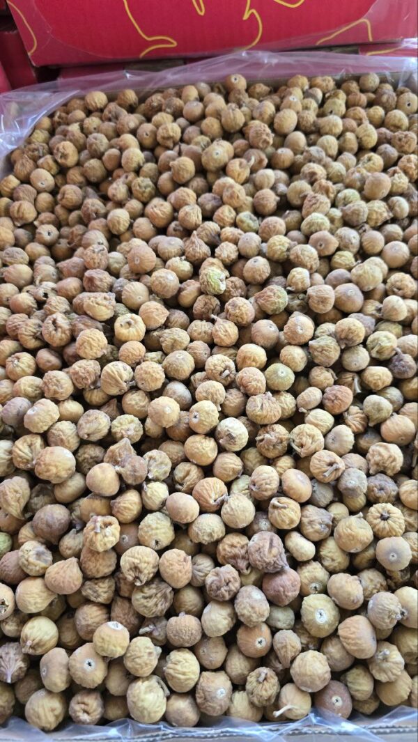 انجیر نقلی سوپر