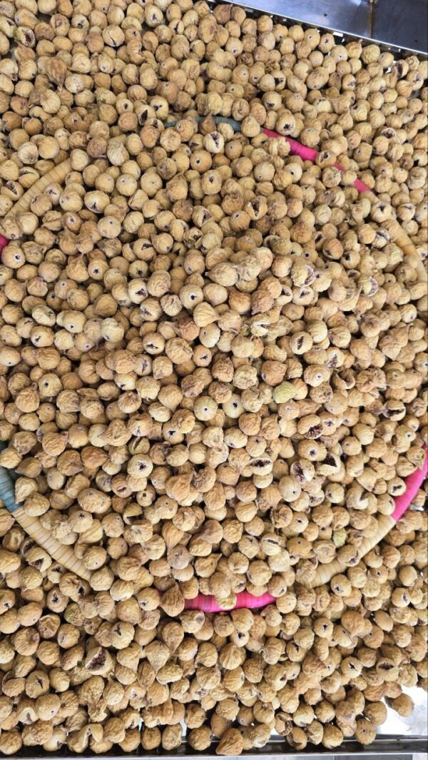 انجیر سایز متوسط دستچین، مخلوط با غنچه صدیک