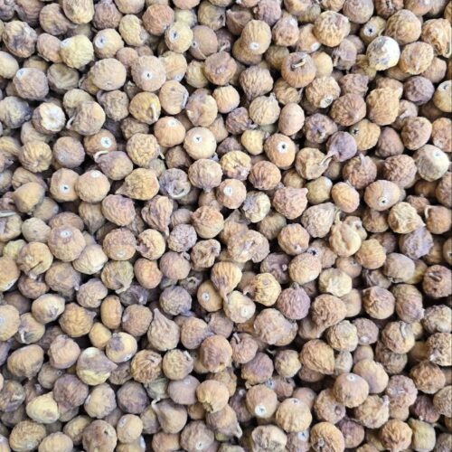 انجیر ریز معمولی (دو رنگ)