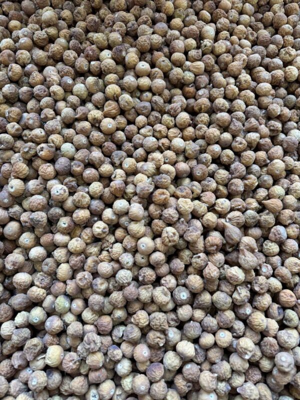 انجیر نقلی معمولی (دو رنگ)