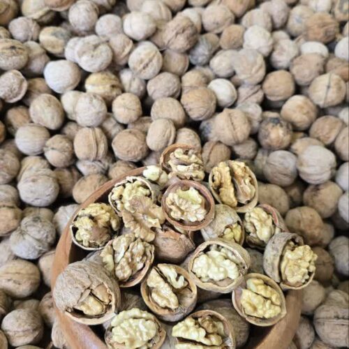 گردو باپوست درجه یک ایرانی