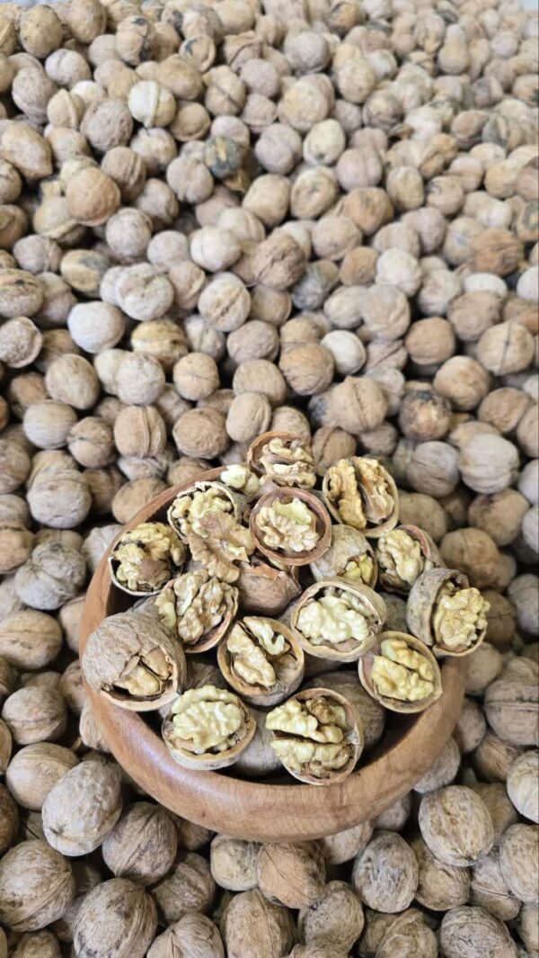 گردو باپوست درجه یک ایرانی