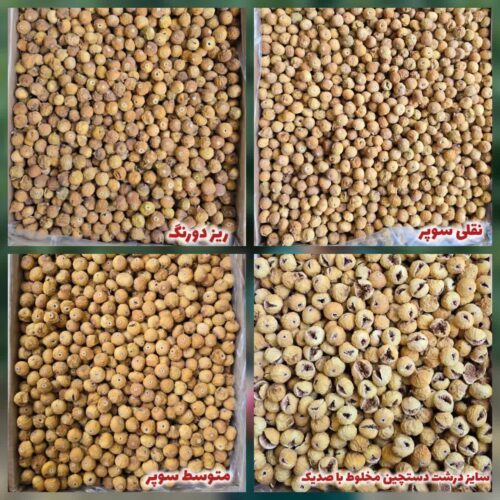 پک انجیر نمونه برتر 🥇