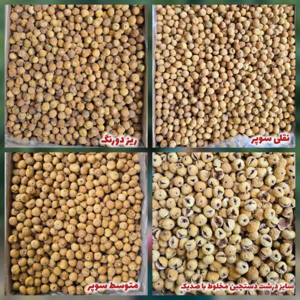 IMG_20251120_091503_387 پک انجیر نمونه برتر 🥇