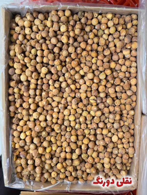 IMG_20251120_132032_280 انجیر نقلی دورنگ و معمولی(کارتن ۱۰ کیلویی)