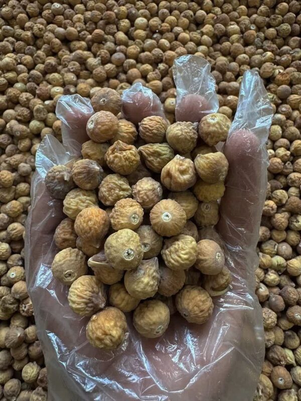 IMG_20251120_132539_285 انجیر نقلی دورنگ و معمولی(کارتن ۱۰ کیلویی)