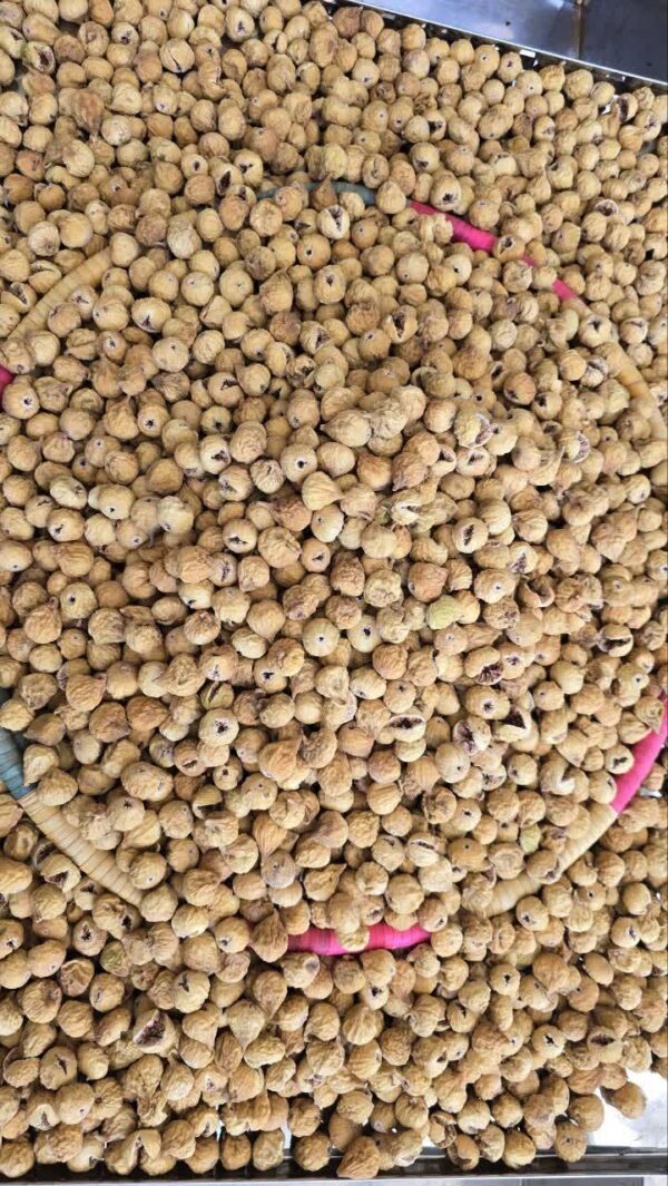 IMG_20251121_011145_736 انجیر صدیک و دستچین سایز متوسط(کارتن ۹ کیلویی)