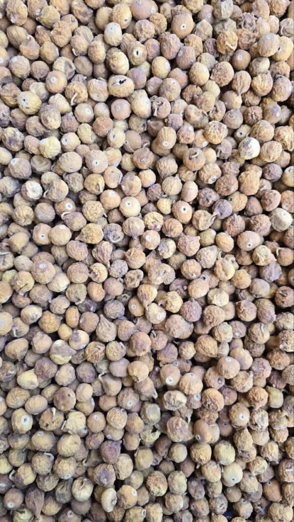 انجیر سایز ریز دورنگ و معمولی(کارتن ۱۰ کیلویی)