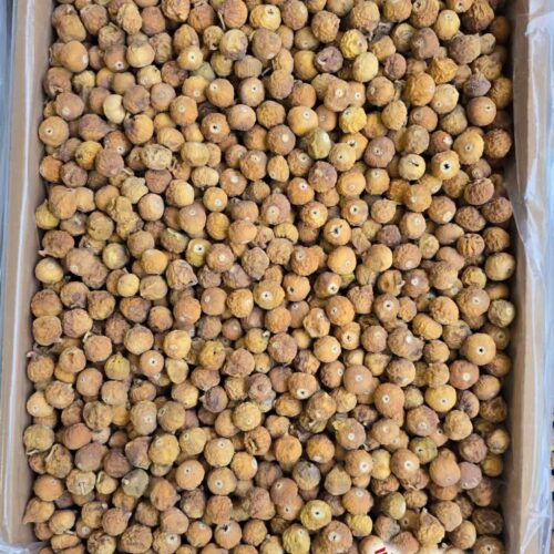 انجیر سایز ریز دورنگ و معمولی(کارتن ۱۰ کیلویی)