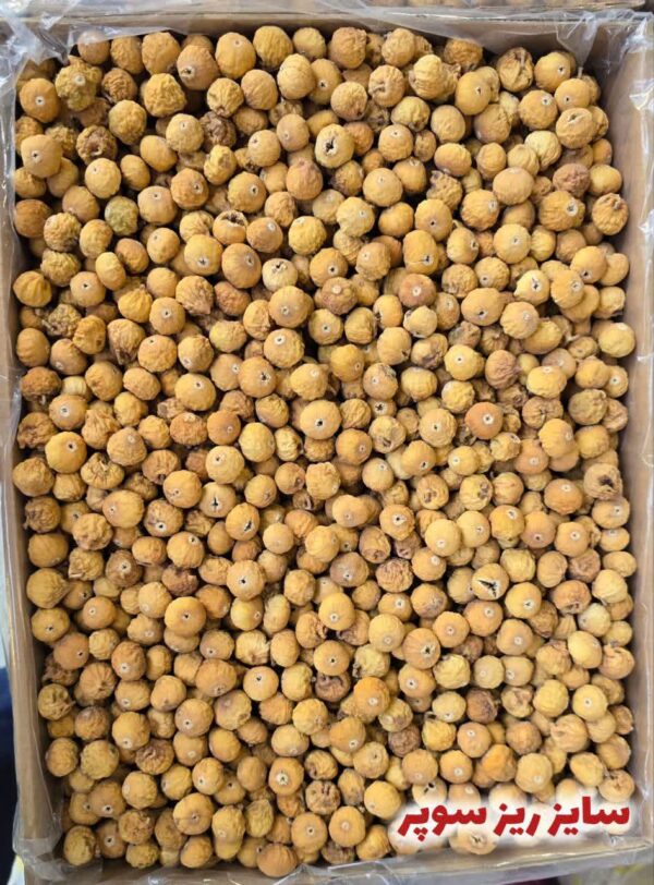 IMG_20251121_015658_062 انجیر ریز سوپر (کارتن ۱۰ کیلویی)