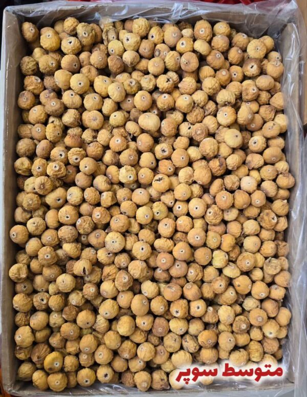 IMG_20251121_020402_980 انجیر سایز متوسط سوپر( کارتن ۱۰ کیلویی)