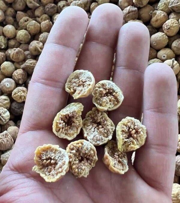 انجیر نقلی سوپر(کارتن ۱۰ کیلویی)