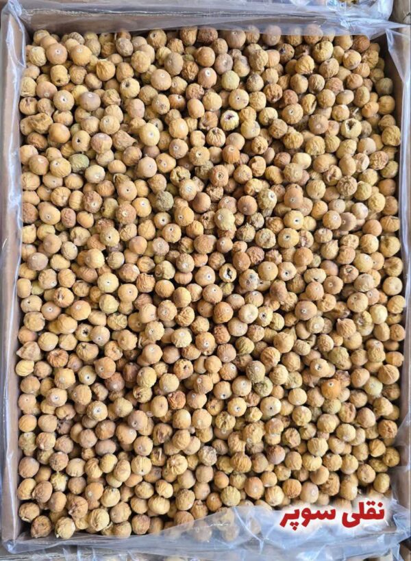 انجیر نقلی سوپر(کارتن ۱۰ کیلویی)