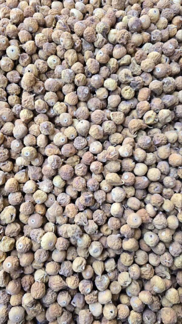 انجیر سایز متوسط دورنگ و معمولی(کارتن ۱۰ کیلویی)