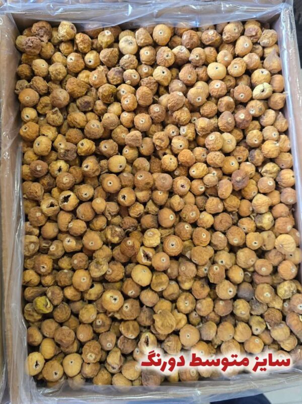 انجیر سایز متوسط دورنگ و معمولی(کارتن ۱۰ کیلویی)