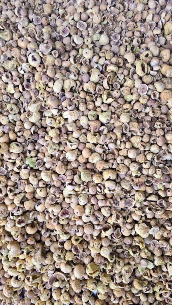 IMG_20251121_022212_181 انجیر گنجشک خورده و شکسته ی ریز (کارتن ۸ کیلویی )