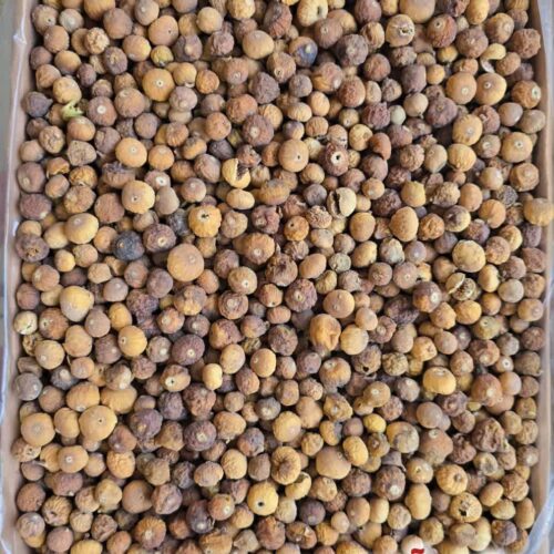 انجیر آبریزی