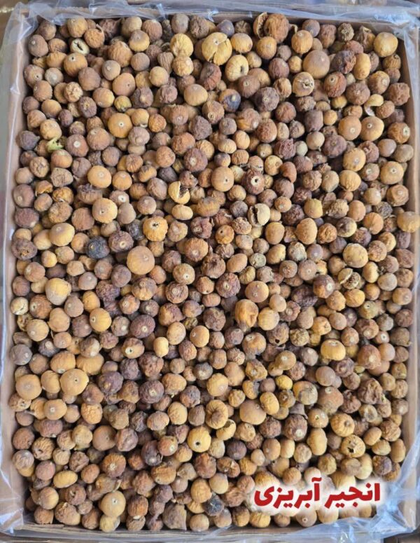 انجیر آبریزی