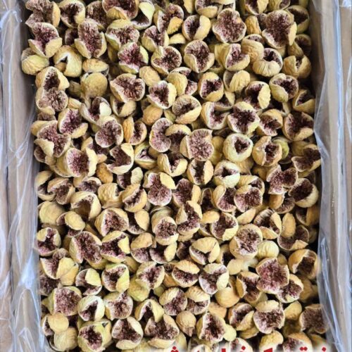 IMG_20251127_000539_410 انجیر فوق پرک فوق درشت